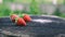 Fresh strawberries lies on oak stump, side view, banner 16x9 format with copy space for text