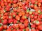 Fresh strawberries macro