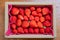 Fresh strawberries are neatly arranged and packed in cartons