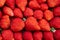 Fresh strawberries are neatly arranged and packed in cartons