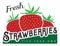 Fresh strawberries sign for a farm stand or farmers market