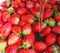 Fresh strawberries under running water