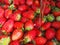 Fresh strawberries under running water