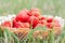 Fresh strawberries in a wicker basket on green grass