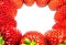 Fresh strawberry arrangement circle background