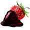 Fresh strawberry dipped in dark chocolate