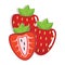 Fresh Strawberry Fruit
