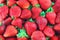 Fresh strawberry harvest background