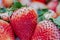 Fresh strawberrys fruit close up : healthy food