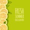Fresh Summer Background with Citrus Lemon Fruits. Design Element