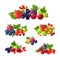 Fresh summer berries. Strawberry, blackberry, blueberry, cherry, raspberry cartoon vector set