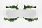 Fresh summer futuristic abstract symmetric figure of white rounded horizontal stripe or pad with tropical green leaves, blank.