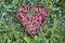 Fresh summer rose hips in heart form wicker basket