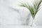 Fresh sunny summer green palm leaves in vase in sunshine with shadows on white marble wall, wood table, copy space.