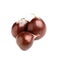 Fresh sweet edible chestnuts on white