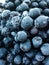 Fresh, sweet, large, healthy blueberries and chokeberry frozen.