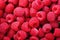 Fresh sweet raspberries close up. Generative AI