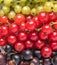 Fresh sweet red green black currant macro top view background