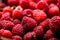 Fresh and sweet red raspberries texture. fruit pile background