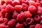 Fresh and sweet red raspberries texture. fruit pile background