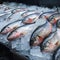 Fresh and sweet water salmon covered with ice in a market