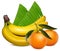 Fresh tangerine fruits with green leaves and banan