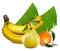 Fresh tangerine fruits with green leaves, banana a