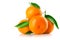 Fresh tangerine fruits with green leaves isolated