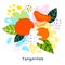 Fresh tangerine tropical exotic citrus fruits juice splash organic food juicy splatter tangerines on abstract background