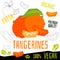Fresh tangerines citrus grapefruits fruits organic vegan food vector hand drawn illustrations