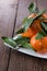 Fresh Tangerines with leaves