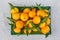 Fresh tangerines lie on a rectangular green plate and photographed from above