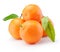 Fresh tangerines oranges fruit with leaves isolated on white background