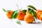 Fresh tangerines on stems with green leaves on white table wall background. harvest vitamins superfood concept. Christmas New Year