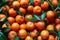 Fresh tangerines with stems and leaves, for sale at market