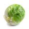 Fresh tasty Brussels sprout