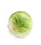 Fresh tasty Brussels sprout