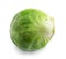 Fresh tasty Brussels sprout