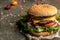 Fresh tasty burger fast food and junk food concept, banner, menu, recipe place for text