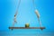 Fresh tasty coconut on a swing at tropical sea background