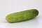 A fresh and tasty green vine ripened garden grown cucumber isolated on white