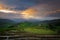 Fresh terrace rice field