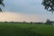 Fresh terrace rice field over the mountain range and beautiful summer day