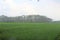 Fresh terrace rice field over the mountain range and beautiful summer day