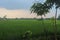 Fresh terrace rice field over the mountain range and beautiful summer day