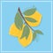 Fresh textured lemon fruits on branch with leaves vector hand drawn illustration.