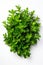 Fresh thyme leaves plant AI generated