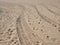 Fresh Tire Tracks and Footprints on Yellow Sand Beach