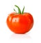 Fresh tomato fruit with green leaf