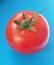 Fresh tomato. Organic vegetables. Delicious and healthy.